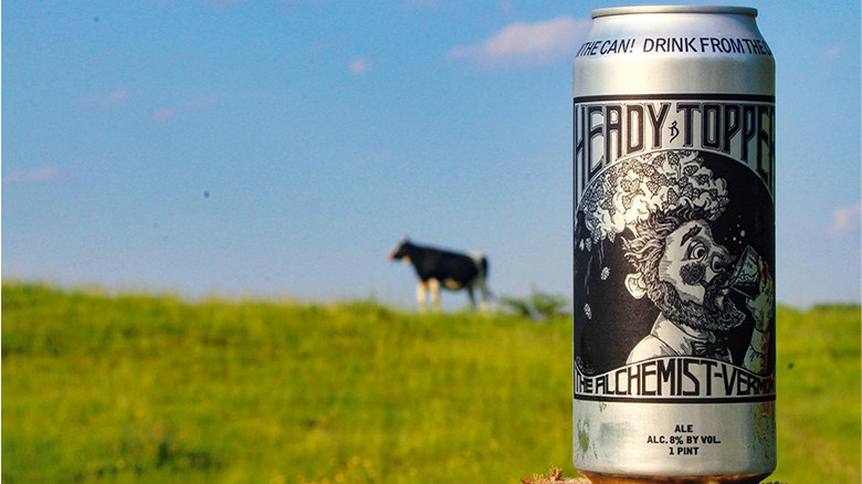 Can of Heady Topper with cow