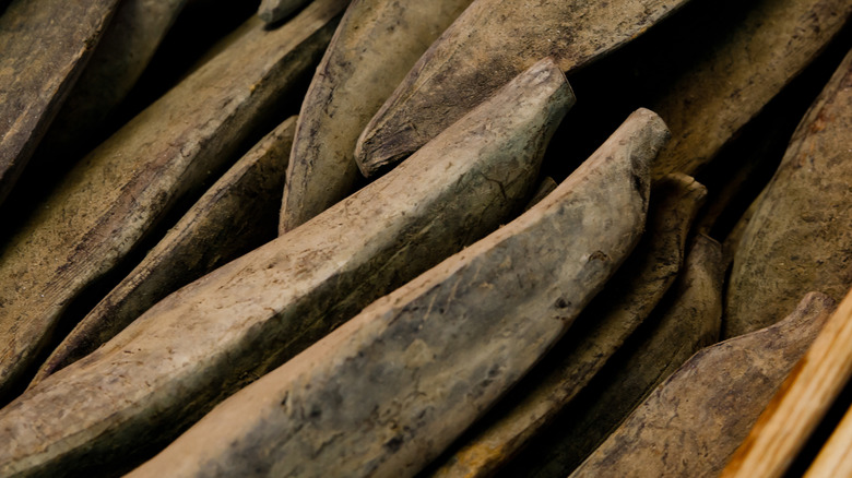 Mold-covered katsuobushi pieces