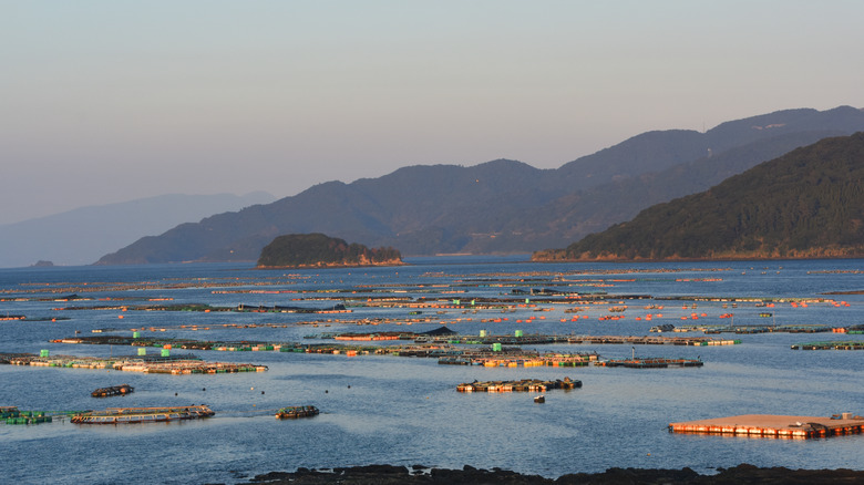 Kagoshima seaport 