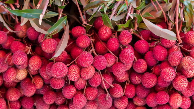 Lychees bunches 