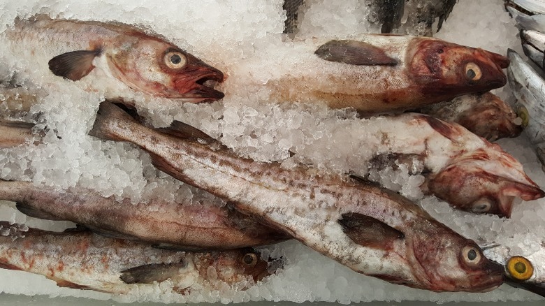 Alaskan Pollock on ice