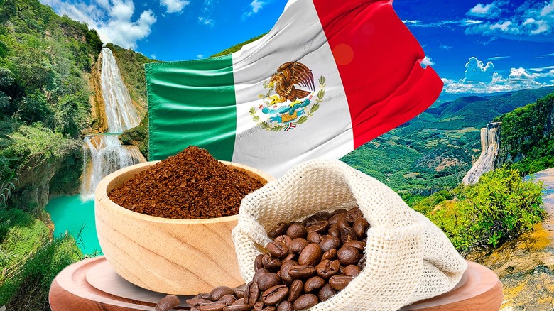 Collage featuring Mexican flag, coffee, and countryside