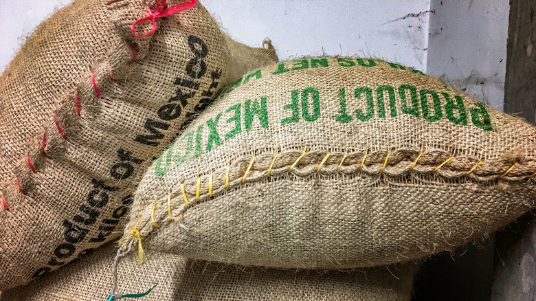 Burlap sacks are filled with Mexican coffee beans.