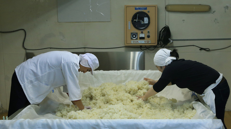 Mixing cooked rice with koji 