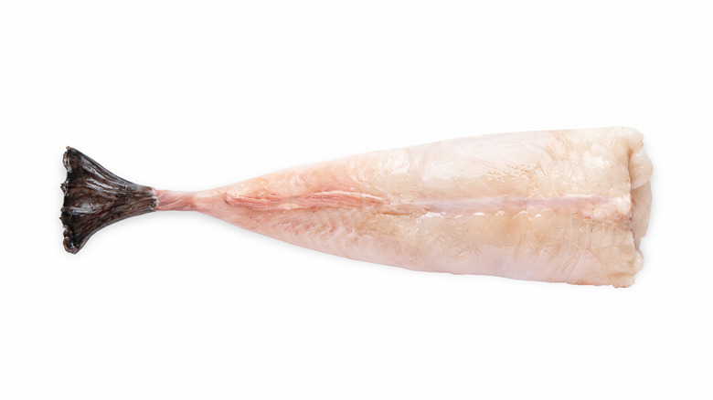 Raw monkfish tail