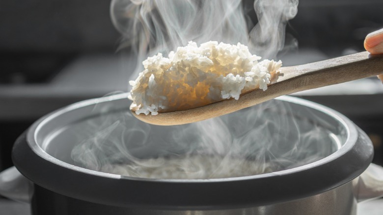 spoonful of steaming rice