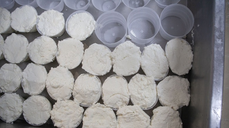 containers of fresh ricotta