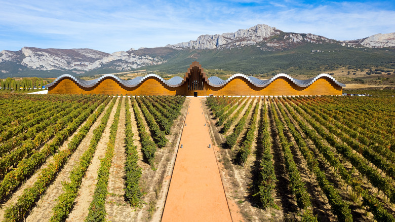 Bodegas Ysios in rioja winery with mountain backdrop