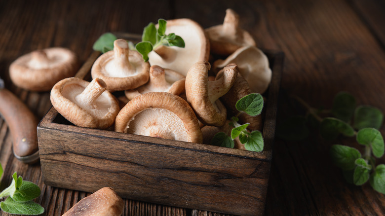 Raw shiitakes in wood basket 