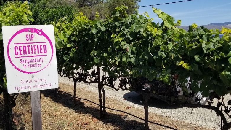 SIP sign in vineyard