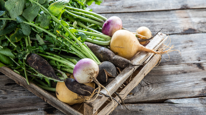 turnips with their greens