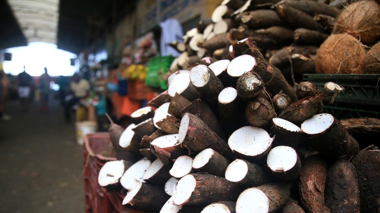 stack of yuca in store