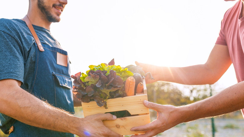 Farmer hands man box of vegetables