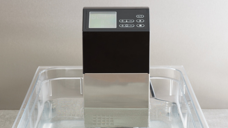 immersion circulator sous vide machine