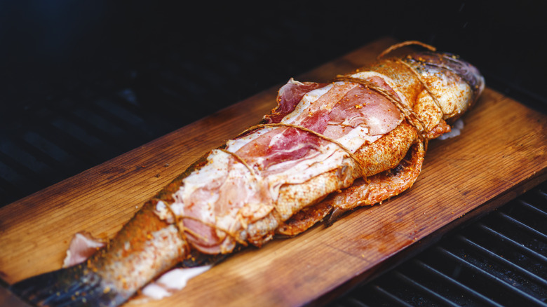 Fish grilled on cedar plank