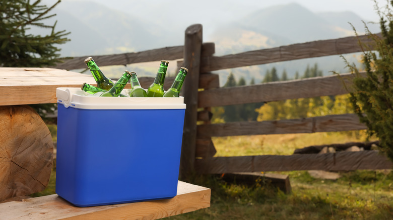 Cooler on picnic bench