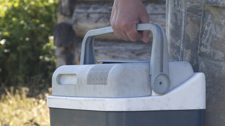 Hand carrying cooler