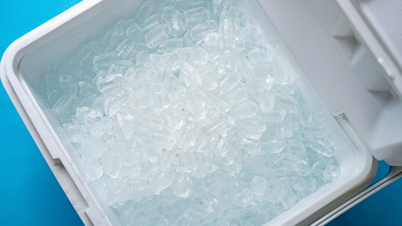 Everything You Should Know Before Buying A Cooler