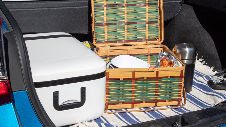 Cooler in back of car