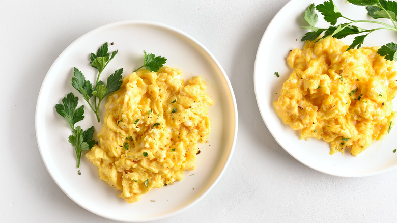 White plates of scrambled eggs