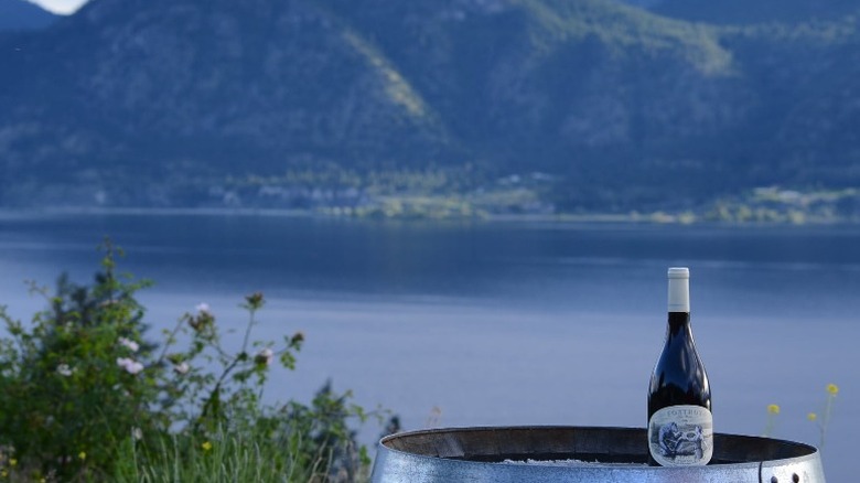 wine bottle with mountain behind it