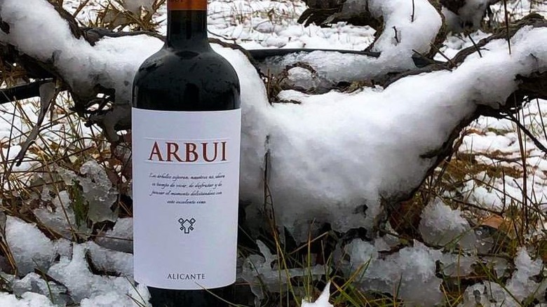 Bottle of Arubi in the snow