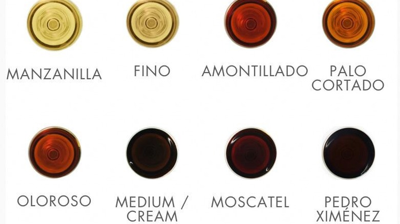 Glasses of different Lustau sherry varietals