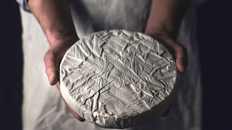 Chef holding brie