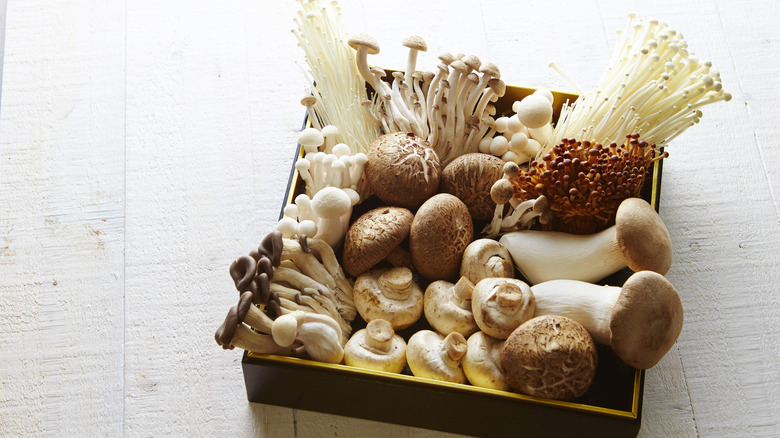 assorted mushroom