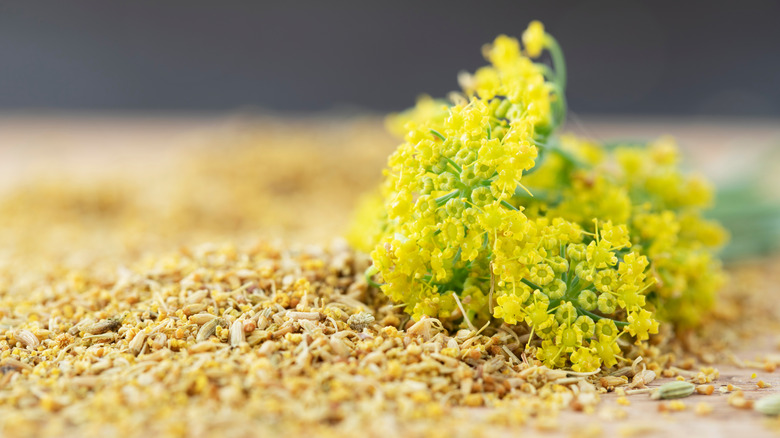 fennel blossom and pollen