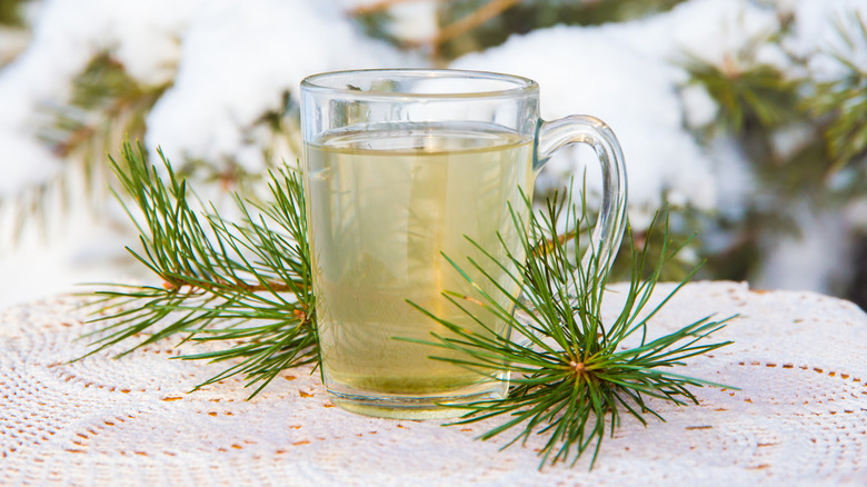 pine needles with drink