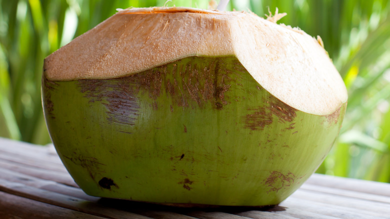 cut young buko coconut