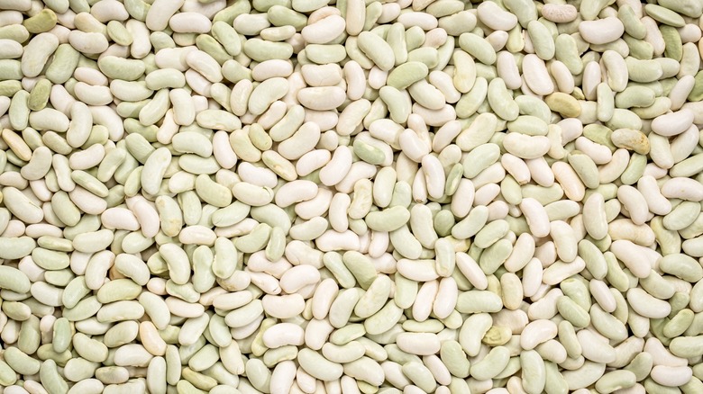 flageolet beans background