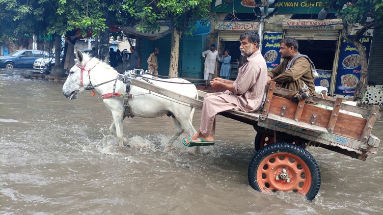 flooding in Pakistan