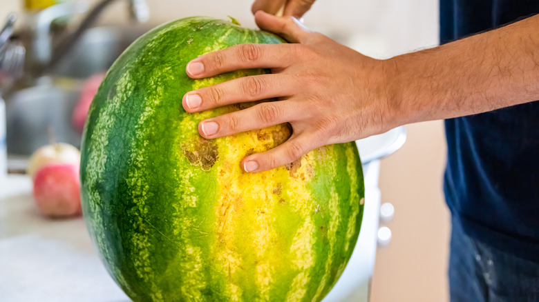 slicing whole watermelon