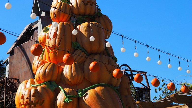 dollywood harvest festival theme park pumpkins