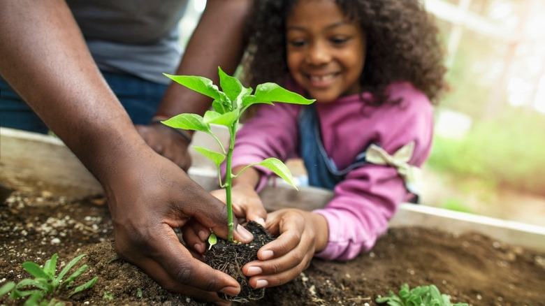 Community garden