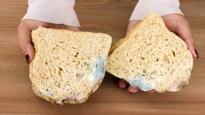 A person holding two slices of moldy bread
