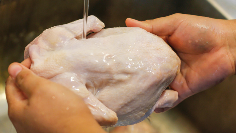 A person washing chicken under running water