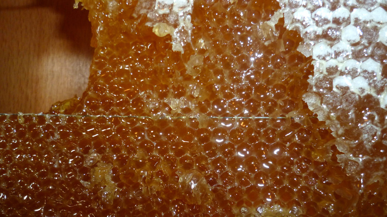 Honeycomb close up