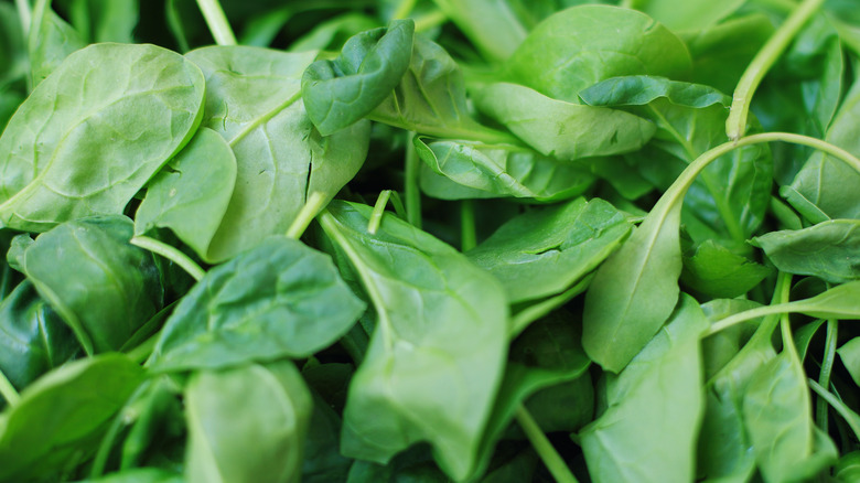 Heap of baby spinach