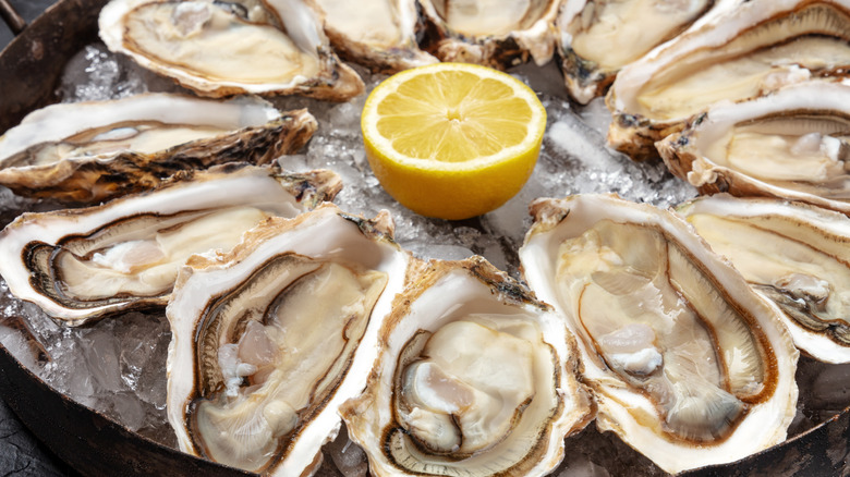 Raw oysters on a platter