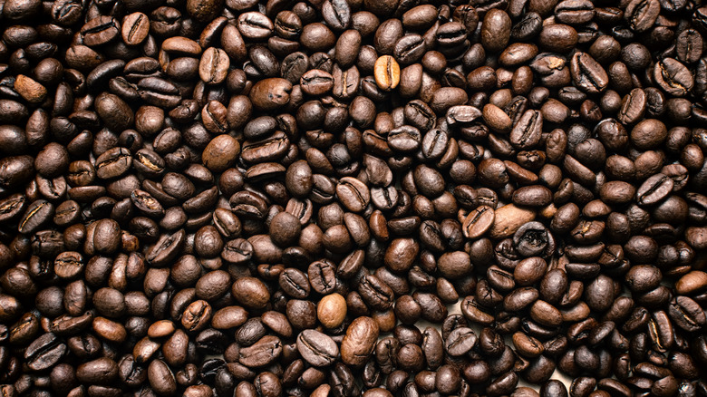 Coffee beans full background