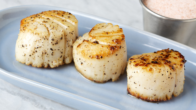 seared scallops