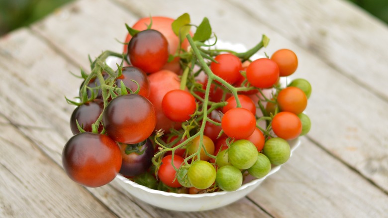 Bowl of cherry tomatoes