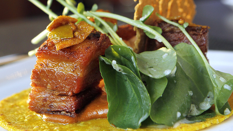 Pork Belly confit, micro greens, two sauces