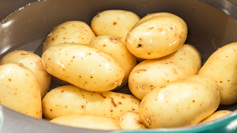 Baby yellow potatoes in pot