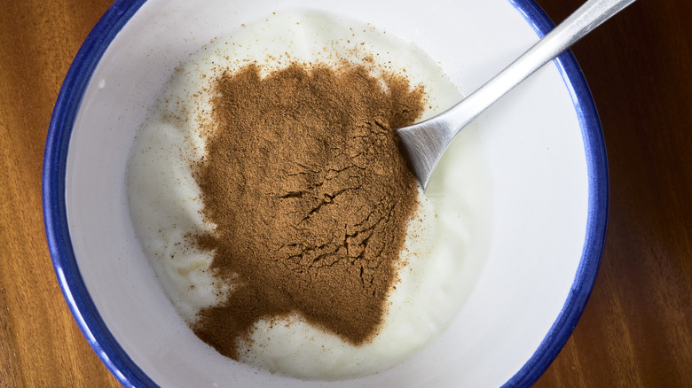 yogurt with cinnamon in bowl