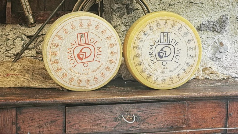 red and blue label formai de mut cheese