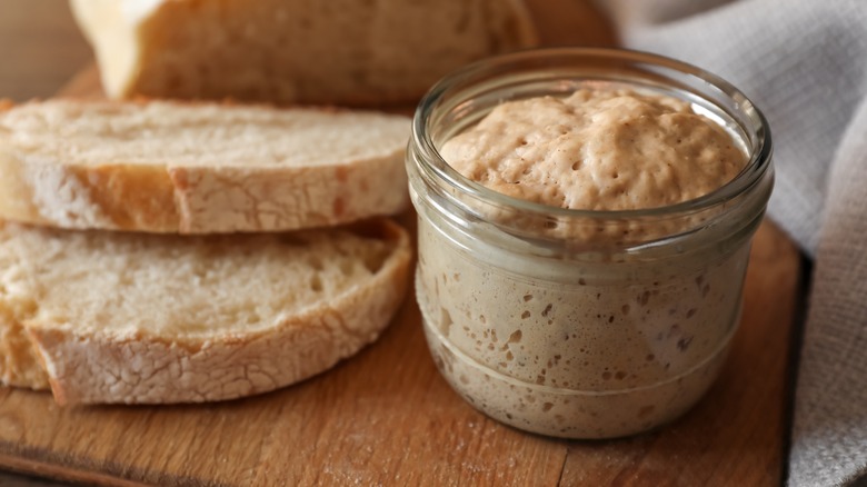 sourdough starter